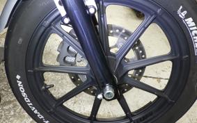HARLEY XL1200NS 2020