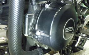 KAWASAKI Z900RS CAFE 2020 ZR900C