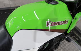 KAWASAKI GPZ900R NINJA 2002 00A085