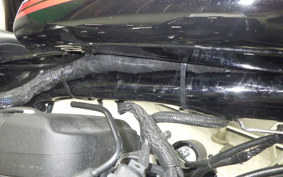 HARLEY XL1200NS 2020