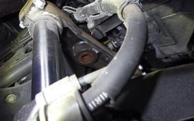 YAMAHA MAXAM 250 2024 SG17J