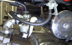 HONDA MONKEY 2021 Z50A