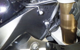 SUZUKI GSX-R1000 2008