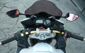 YAMAHA FZ1 FAZER 2010 RN21J