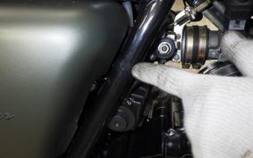 OTHER MUTT250