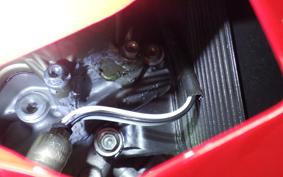 DUCATI 1299 PANIGALE S 2015