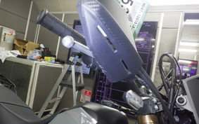 HONDA CRF250L MD47