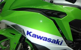 KAWASAKI ZX-4RR 2024 ZX400P