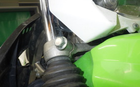 KAWASAKI KLX125 2025 LX125C