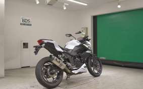 KAWASAKI Z250 2007 ER250C