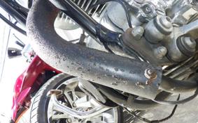 YAMAHA VIRAGO 250 TRIKE 3DM