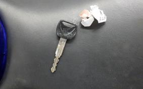 HONDA HORNET 250 2016 MC31