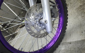 YAMAHA TT250R 2009 4GY
