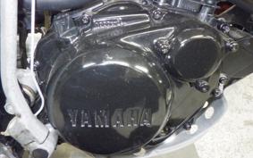 YAMAHA TW200 2025 2JL