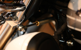 HARLEY FLHTCUTG SE CVO 2019 TBH