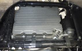 HARLEY V-ROD Muscle 1250 2009