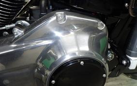 HARLEY FXBB1920 2025