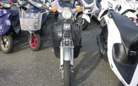 HONDA LITTLE CUB E AA01
