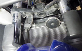 KAWASAKI NINJA 250 EX250L