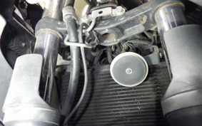 KAWASAKI NINJA 250 SL 2020 BX250A