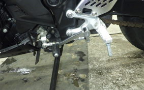 YAMAHA YZF-R25 2008 RG10J
