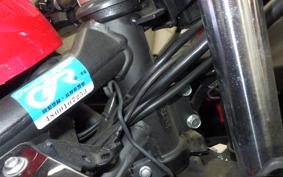 KAWASAKI NINJA 250 SL BX250A