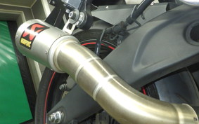 YAMAHA YZF-R25 RG10J