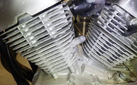 YAMAHA VIRAGO 250 2000 3DM