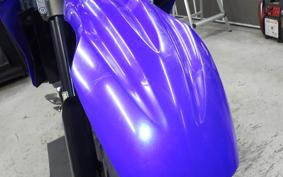 YAMAHA WR250X DG15J