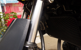 SUZUKI STROM 250 DS11A