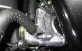 HONDA FORZA 250 2024 MF13