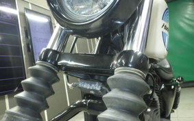 HARLEY XL1200NS 2018