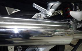 HONDA CBR1100XX 1999