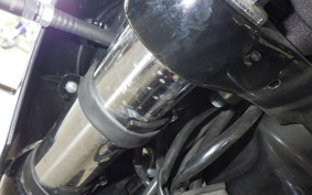 HARLEY FXBB1750 2018