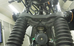OTHER MUTT250 1995