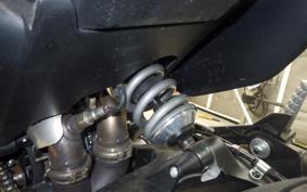 DUCATI SCRAMBLER 2024