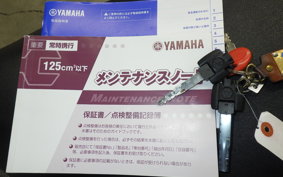 YAMAHA CYGNUS Griffus