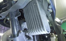 SUZUKI GIXXER 250 ED22Y