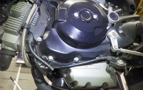 DUCATI MONSTER 1100 EVO 2013