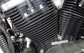 HARLEY XL883N 2018