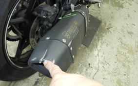 KAWASAKI ZX-4R SE 2024 ZX400P