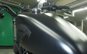 HARLEY XL883N 2017