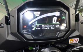 KAWASAKI NINJA 1000SX 2024 ZXT02K