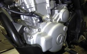 YAMAHA WR250X DG15J