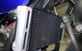 HONDA HORNET 250 MC31
