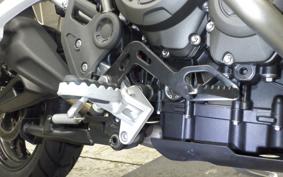 TRIUMPH TIGER 900 GT PRO 2023