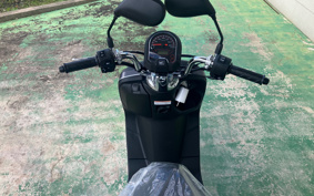 HONDA DUNK AF78