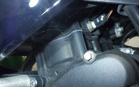 KAWASAKI NINJA 400 2021 EX400G