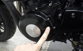 KAWASAKI Z900RS 2019 ZR900C