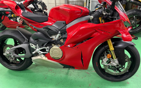 DUCATI PANIGA-REV4S 2025 5D00